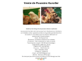 vente-de-poussins-kuroiler-small-0