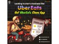 ready-to-dominate-the-food-delivery-industry-build-your-food-delivery-app-today-small-0